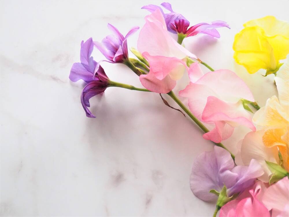 「栄転祝い」の際に贈ると喜ばれるお花の選び方